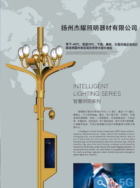 随州批发大型led玉兰灯 户外广场市政工程道路景观灯 八叉九火玉 兰灯